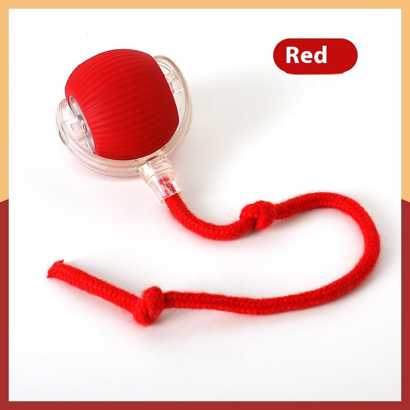 Smart Interactive Cat Chase Toys