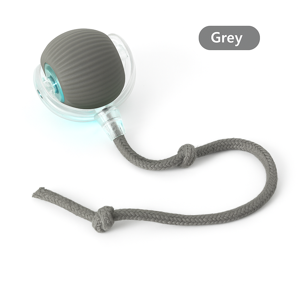 Smart Interactive Cat Chase Toys