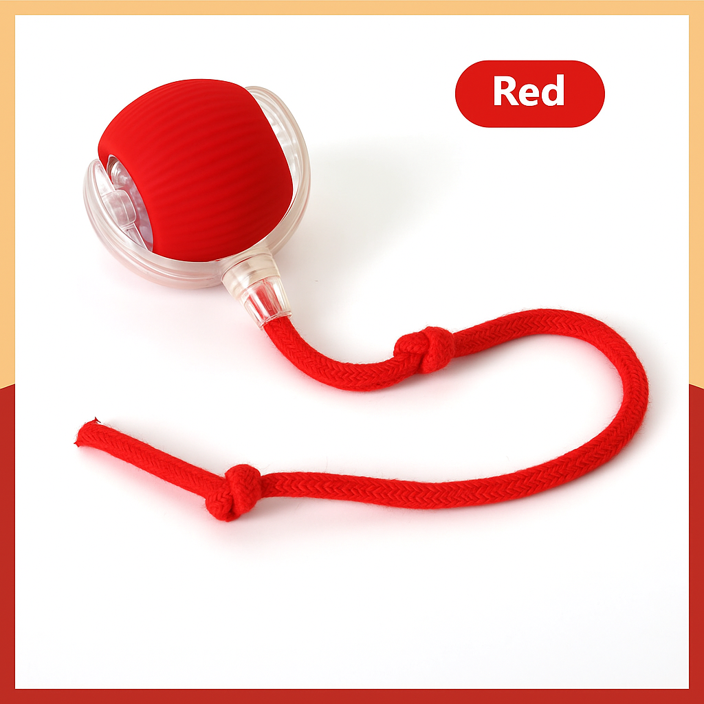Smart Interactive Cat Chase Toys