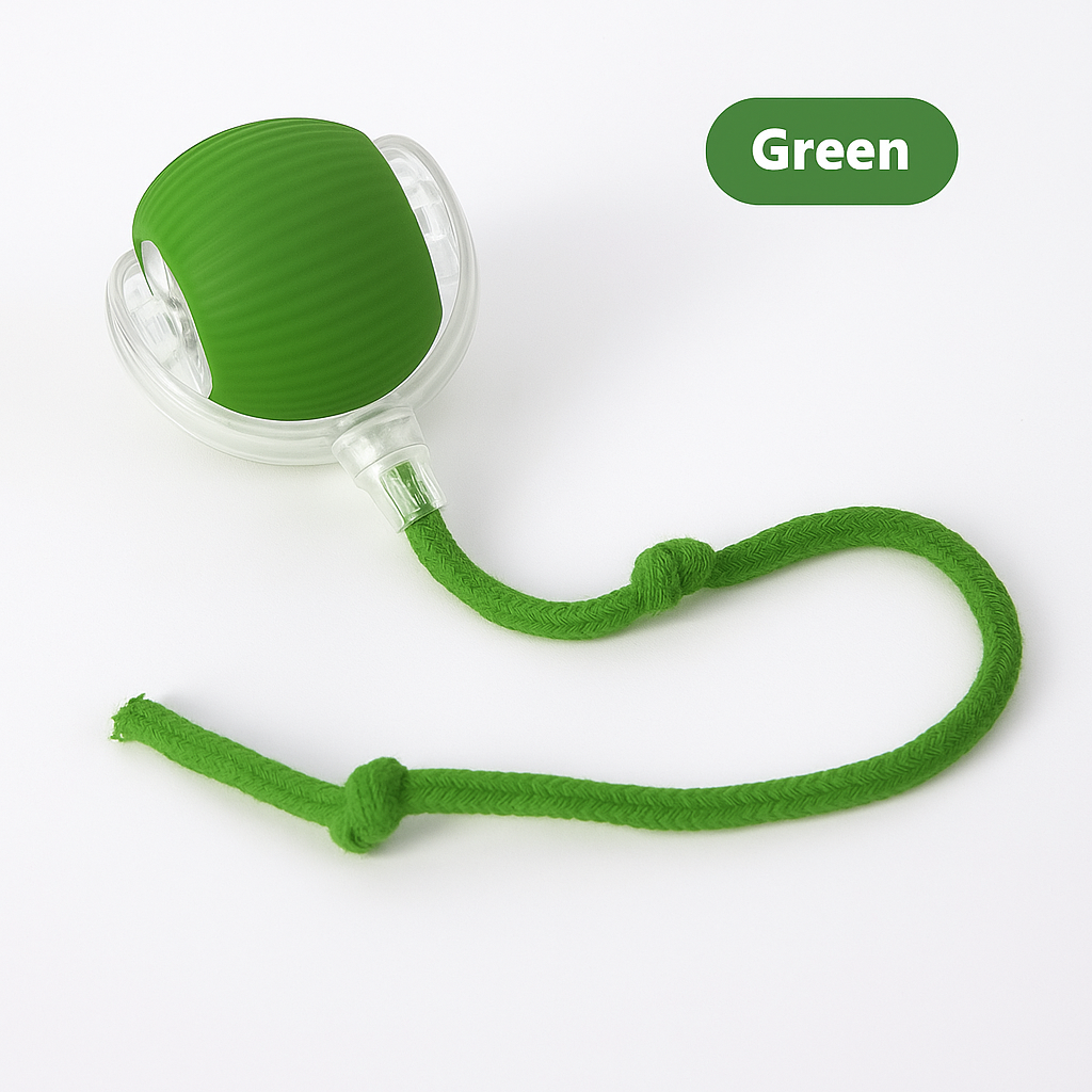 Smart Interactive Cat Chase Toys