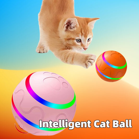Chase Mate Auto Ball For Cat & Dog