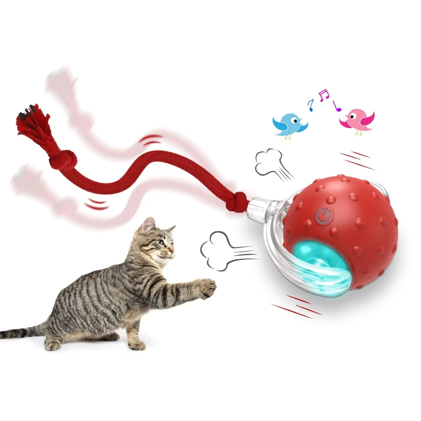 Smart Interactive Cat Chase Toys