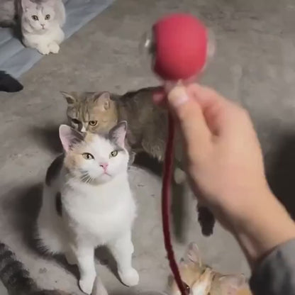 Smart Interactive Cat Chase Toys